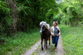 Kompetenztraining mit deinem Pferd