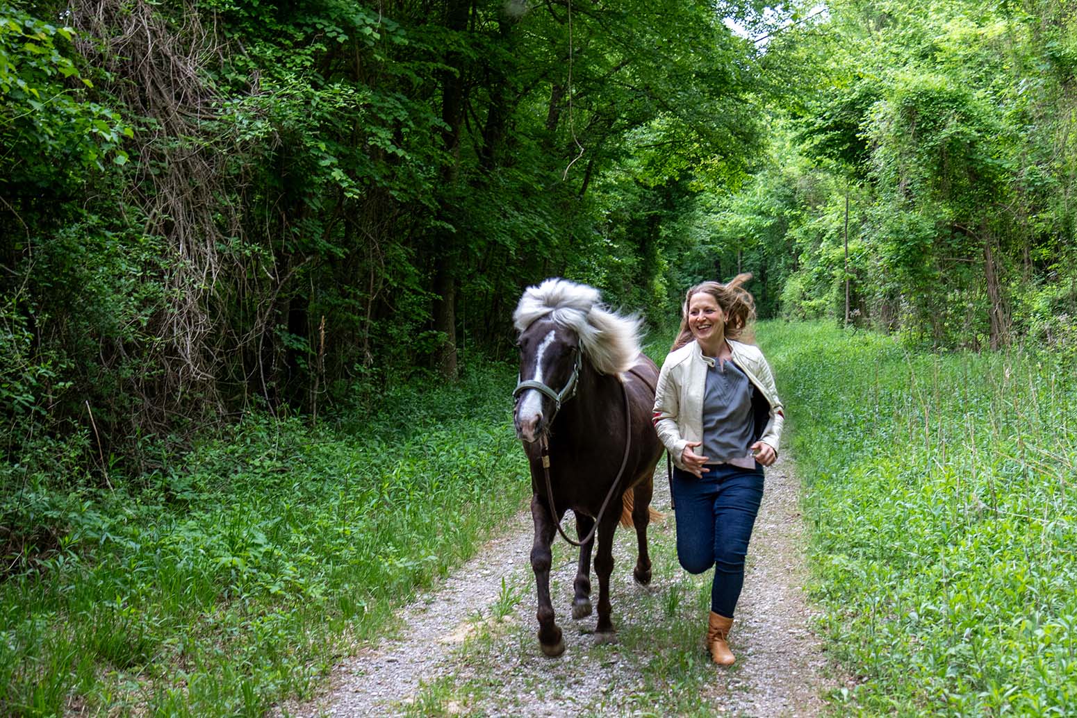 Kompetenztraining mit deinem Pferd